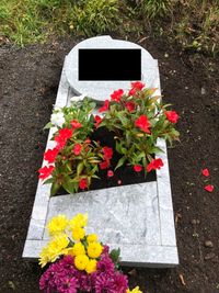 Urnengrab mit Liegeplatte